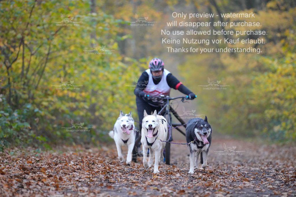 Rigs4bis8So-60 | stephaniefillaphotographie - Realisiert mit Pictrs.com