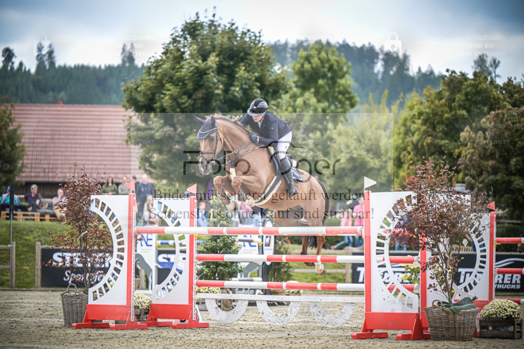 DOS_2069 | Entdecke hochwertige Reitturnierfotos von Foto Oger. Professionell, emotional und authentisch – jetzt Lieblingsmomente im Shop bestellen. - Realisiert mit Pictrs.com