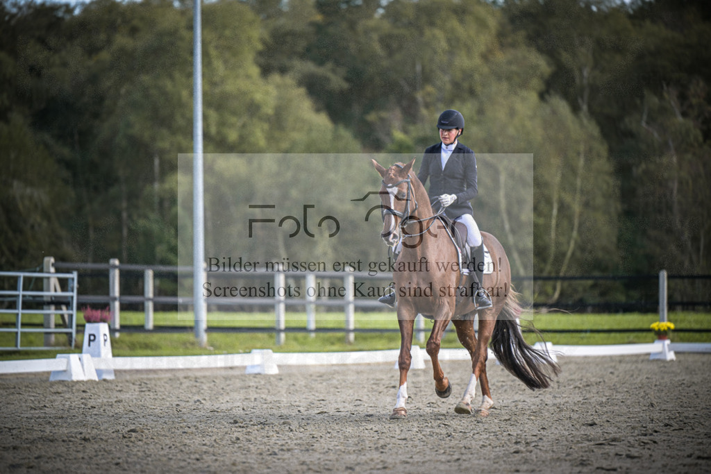 DOS_3839 | Entdecke hochwertige Reitturnierfotos von Foto Oger. Professionell, emotional und authentisch – jetzt Lieblingsmomente im Shop bestellen.Deutschlandweite Turnierfotografie. - Realisiert mit Pictrs.com