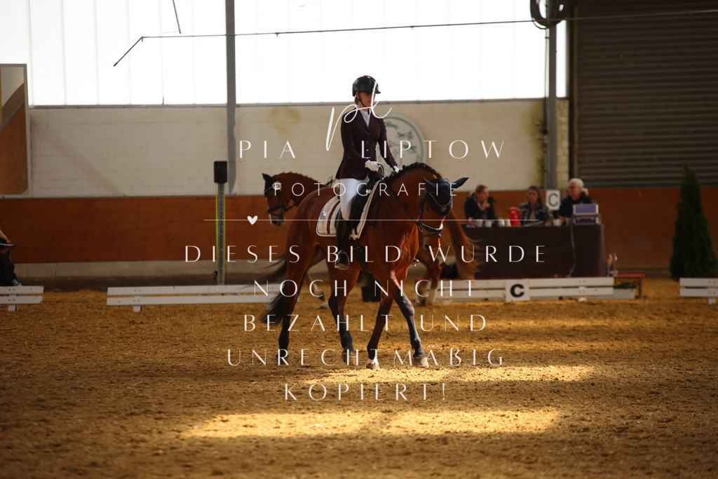 IMGT4710 | pl-fotografie