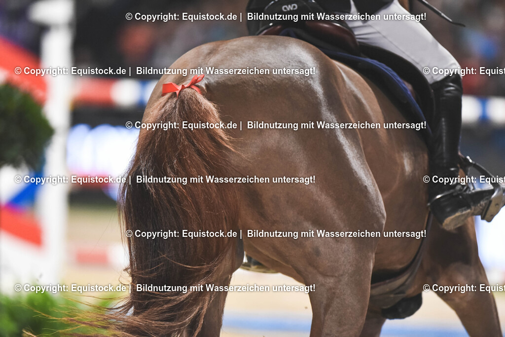 20251113_Preis-XXL-Sicherheit_TOMSPIC_0175 | Foto: Thomas Hartig