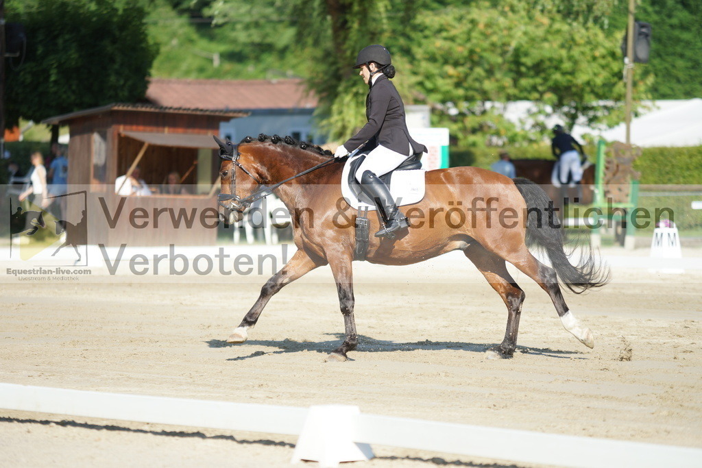 DSC04091 | equestrian-live-com