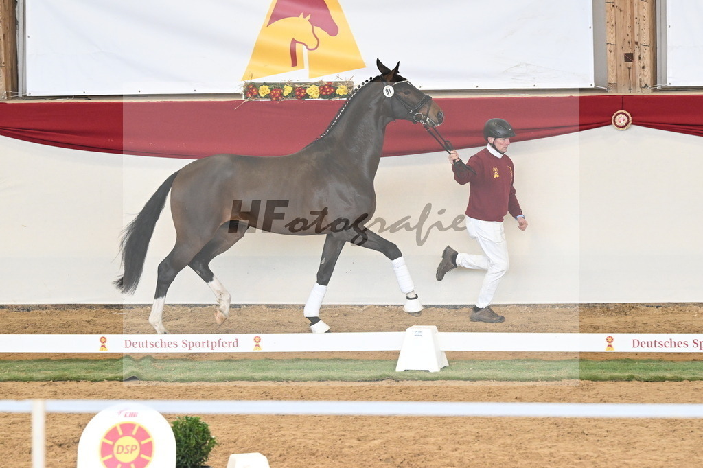 Kat.-Nr. 81 v. Va Bene_Greim_3261137 | hf-fotografie - Realizzato con Pictrs.com
