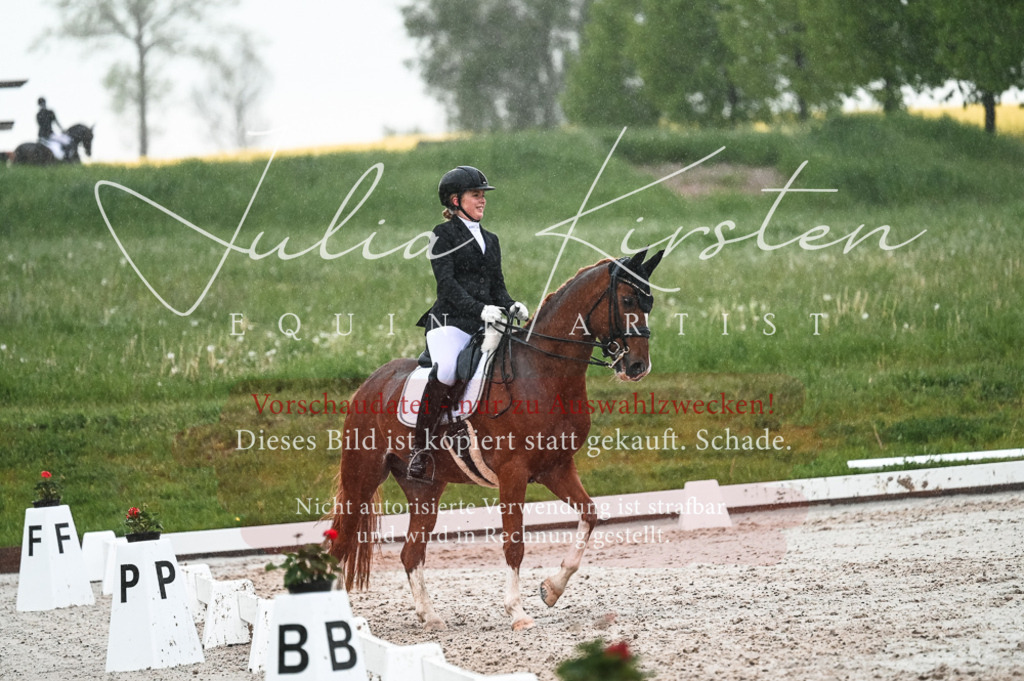 DSC_4628 | Pferde- und Turnierfotografie in Westsachsen. Pferdeportraits, Auftragszeichnungen und intuitive Kunst.