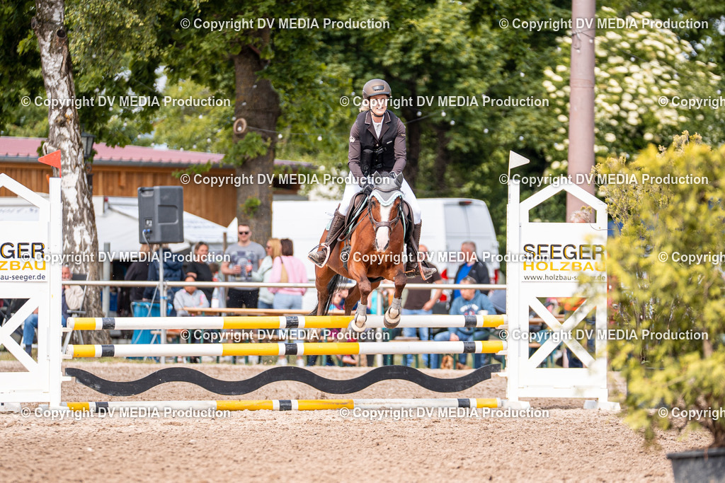 Eppelheim Tag 3-478 | dv-media-shop - Realisiert mit Pictrs.com