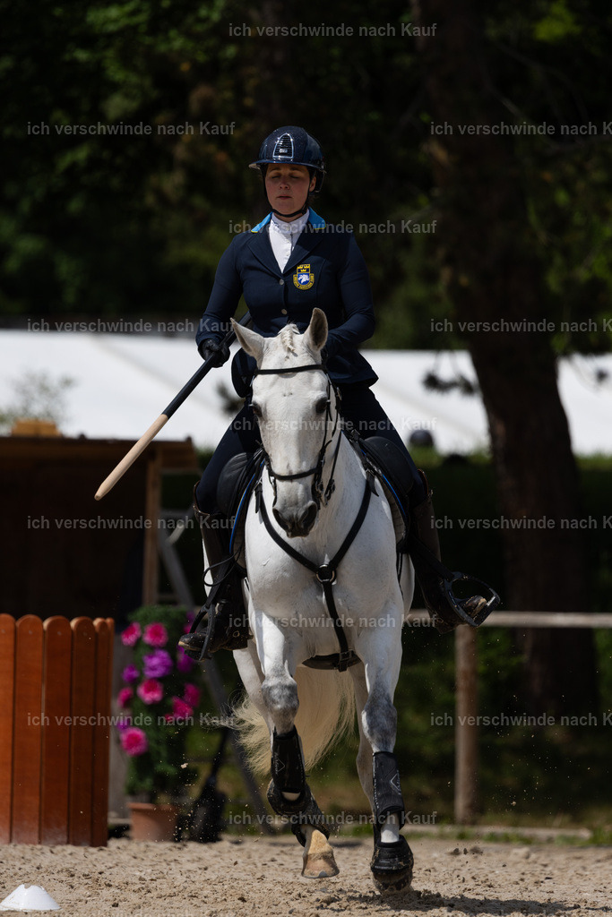 PI26_SP_StoibphotographyC2_C3689.CR3 | working equitationturnier fotograf videograf stoibphotography marixx film working equitation deutschland reitsport turnierfotografie eventfotografie equestrian events