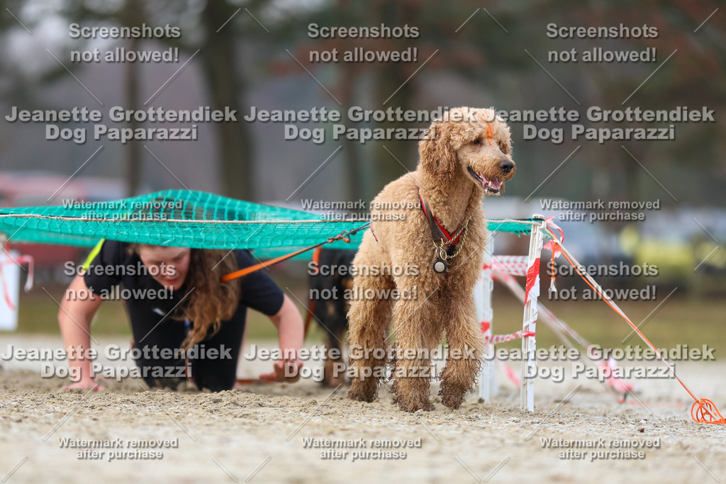 Dog Paparazzi - Strongdog North Mrz26-3727 | Dog Paparazzi Jeanette Grottendiek Fotografie & Videografie - Realisiert mit Pictrs.com