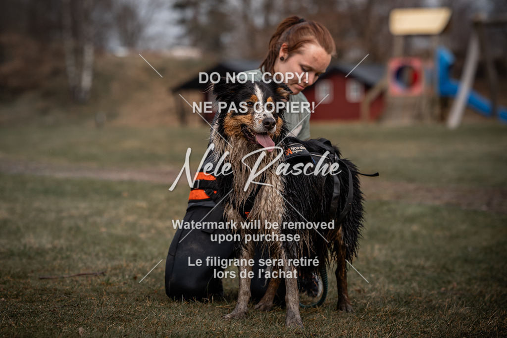 nelerasche_1330-1400_274 | nelerasche