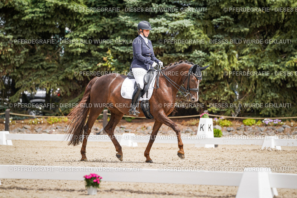 DSC03889 | Pferdegrafie