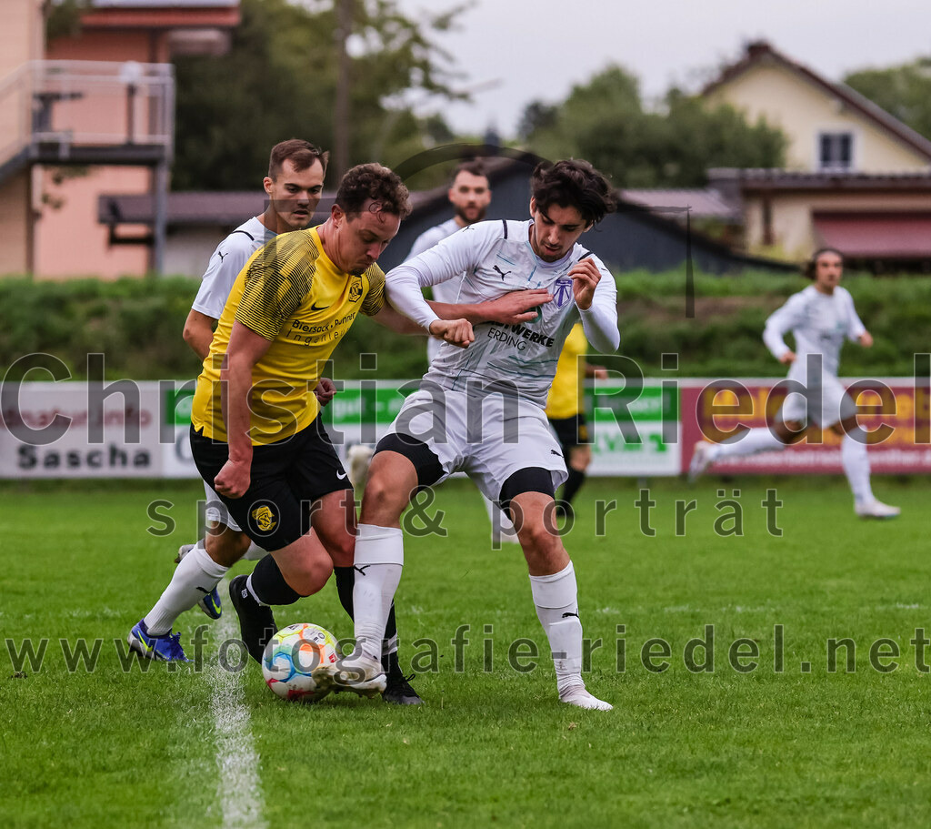 2023-08-09_068_FC_Moosinning_II_gegen_SpVgg_Altenerding | Moosinning, Deutschland, 09.08.2023:
Fußball, Kreisliga 2023 / 2024, 3. Spieltag, FC Moosinning II gegen SpVgg Altenerding, Endergebnis: 1:1

Alexander Hofmeister (FC Moosinning, #11), Pedro Flores (SpVgg Altenerding, #6)

Foto: Christian Riedel / fotografie-riedel.net