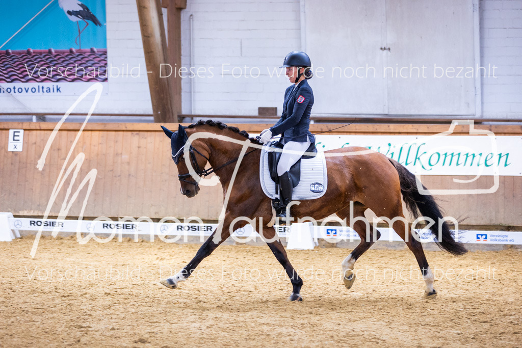 Sth-A-Dre-2St-219 | MomenTaufnahmen Pferdesportfotos