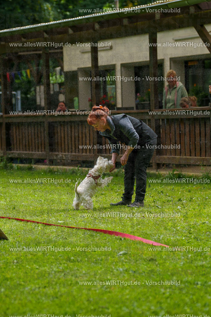 @allesWIRTHgut_Tierfotografie - www.allesWIRTHgut.de - 7R503892 | Professionelle Tierfotografie in Mönchengladbach von Daniel Wirth (allesWIRTHgut). Liebevolle & natürliche Bilder von Hunden & Katzen für unvergessliche Erinnerungen.