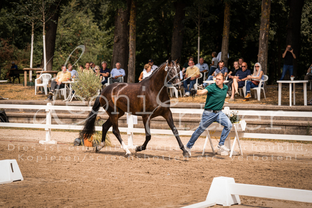 2. Fr00086 | Leoni Ertmer Photography - Realisiert mit Pictrs.com