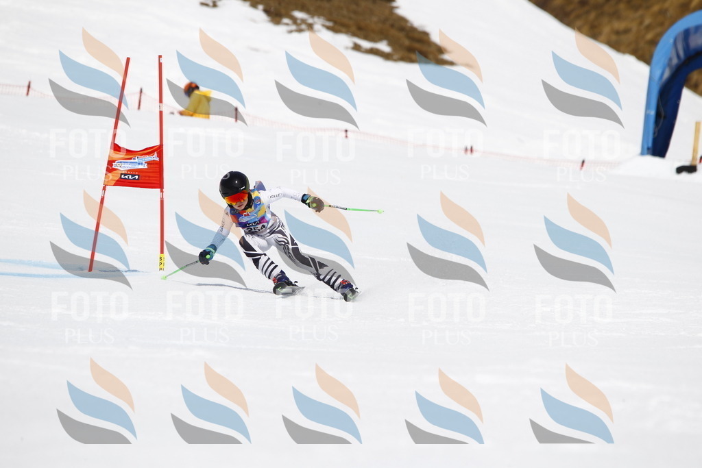 _U3G6381 | holidayphoto