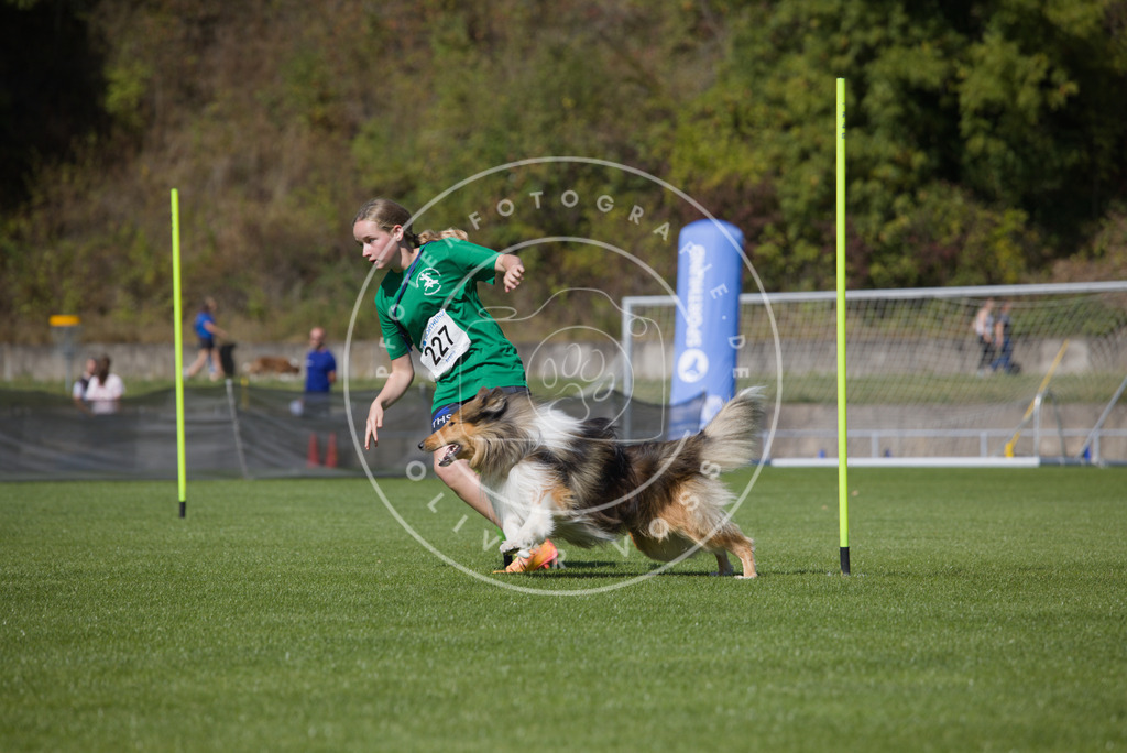 0L8A6041 | Hundefotografie, Tierfotograf, Pfotenfotografie, Fotoshooting Hund, Hunde Portrait, Hundesport, Hundeportraits, Heideshooting, Hunde, Sportfotograf, Hundefotograf, Turnierhundsport, THS,  - Realisiert mit Pictrs.com