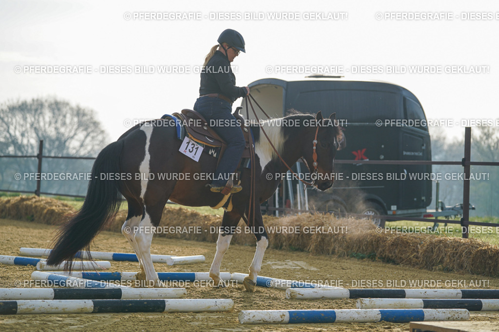 DSC09815 | Pferdegrafie