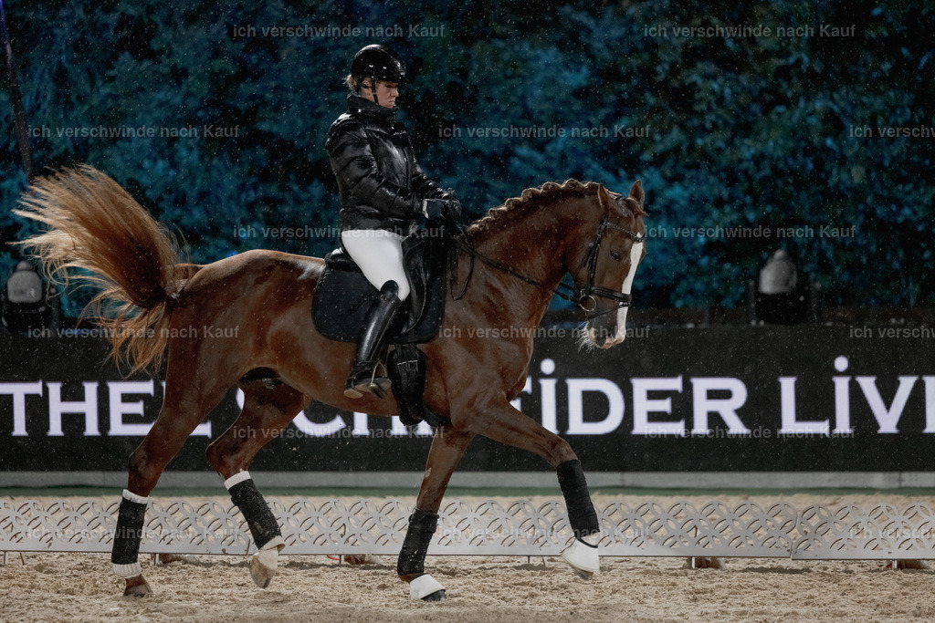 FHClassics-30 | working equitationturnier fotograf videograf stoibphotography marixx film working equitation deutschland reitsport turnierfotografie eventfotografie equestrian events