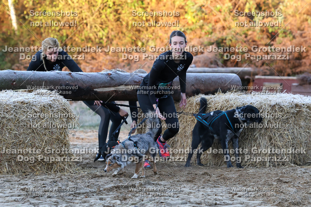 Dog Paparazzi - Strongdog 10-25-389 | Dog Paparazzi Jeanette Grottendiek Fotografie & Videografie - Realisiert mit Pictrs.com