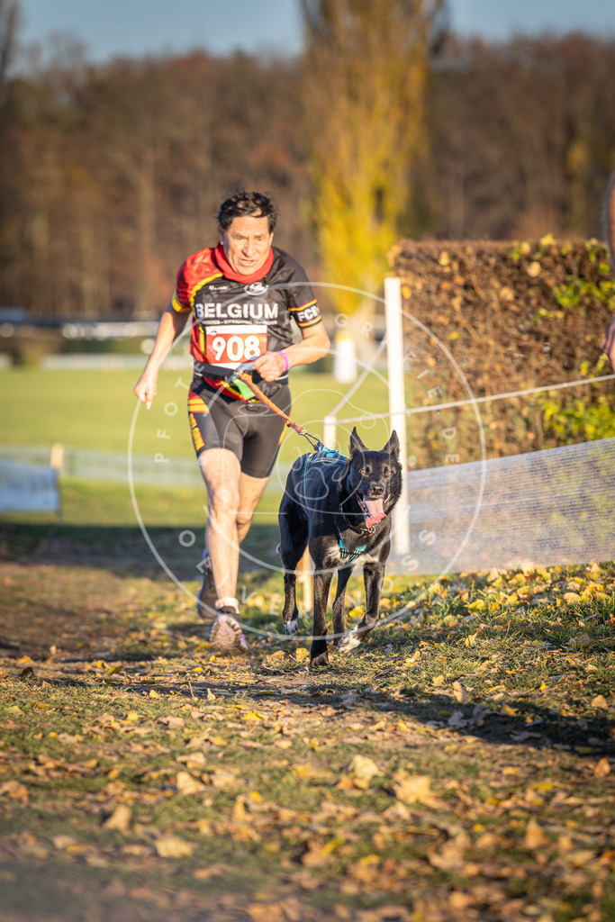 CaniXpix_DV3A4752 | Hundefotografie, Tierfotograf, Pfotenfotografie, Fotoshooting Hund, Hunde Portrait, Hundesport, Hundeportraits, Heideshooting, Hunde, Sportfotograf, Hundefotograf, Turnierhundsport, THS,  - Realisiert mit Pictrs.com