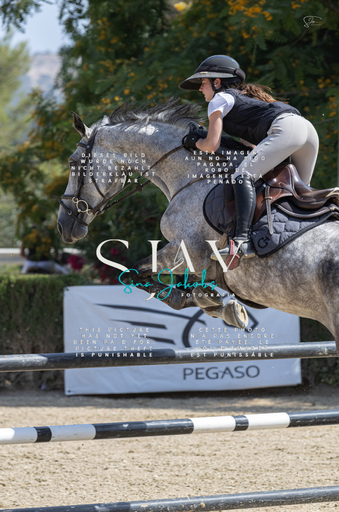 IMG_3823 | s-jay-photography - Realisiert mit Pictrs.com