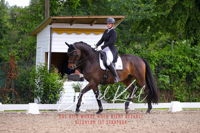 DKP41645 | Deine Turnierfotos vom Reitturnier online kaufen: Dressur, Springen & Siegerehrung. Professionelle Pferdefotografie aus dem Rheinland – als Download & Print.Alternative: Turnierfotograf für den Pferdesport: Finde deine Fotos von Dressur- und Springturnier