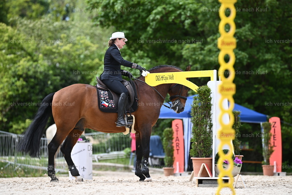 PI26_ST_Sara_Landvogt226_2917.JPG | working equitationturnier fotograf videograf stoibphotography marixx film working equitation deutschland reitsport turnierfotografie eventfotografie equestrian events