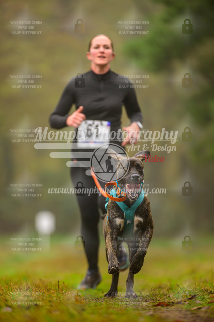 MompixPhotography_Bischwiller2025_Canicross-107 | mompixphotography