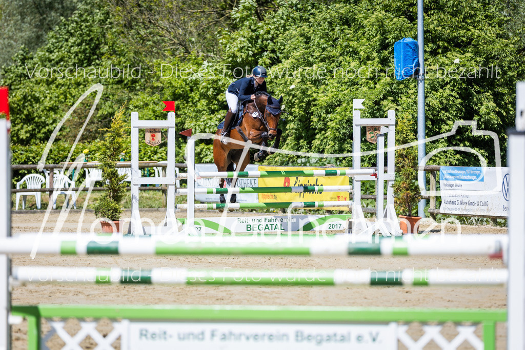 Donop24-Stil-L-004 | MomenTaufnahmen Pferdesportfotos