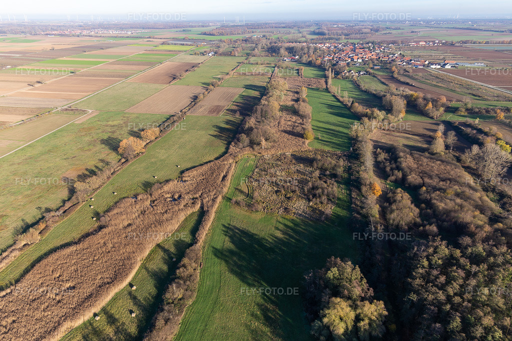 Luftbild: Billigheimer Bruch, Erlenbachtal zwischen Barbelroth, Hergersweiler und Winden im Ortsteil Mühlhofen in Billigheim-Ingenheim im Bundesland Rheinland-Pfalz in Deutschland. Foto: IMG_123903.jpg vom 21.11.2020 durch Werner Riehm/FLY-FOTO.de