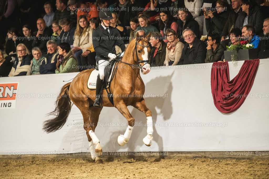 20240302_Hengstvorstellung_Marbach_TOMsPiC_0528 | equistock