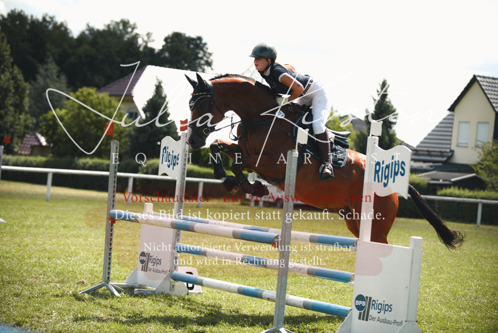 DSC_6479 | Pferde- und Turnierfotografie in Westsachsen. Pferdeportraits, Auftragszeichnungen und intuitive Kunst.