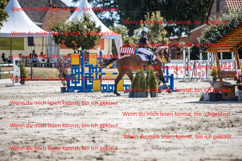BK1A6335 | Turnierbilder Turnierfotos Nina Hüffmann Turnierfotografie Pferdefotografie Tierzeichnung Haustierzeichnung Pferdezeichnung Hundezeichnung Videograf  - Realisiert mit Pictrs.com