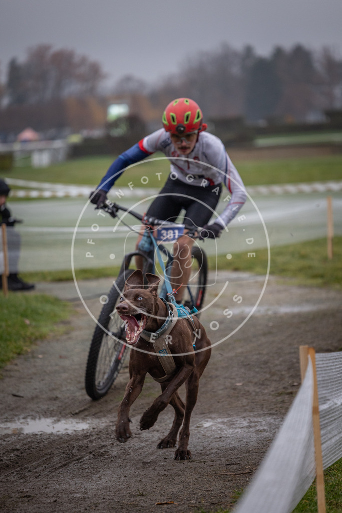CaniXpix_0L8A1061 | Hundefotografie, Tierfotograf, Pfotenfotografie, Fotoshooting Hund, Hunde Portrait, Hundesport, Hundeportraits, Heideshooting, Hunde, Sportfotograf, Hundefotograf, Turnierhundsport, THS,  - Realisiert mit Pictrs.com