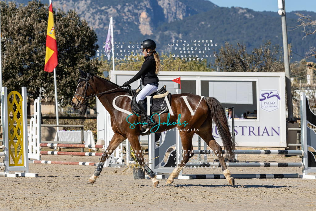 IMG_8647 | s-jay-photography - Realisiert mit Pictrs.com