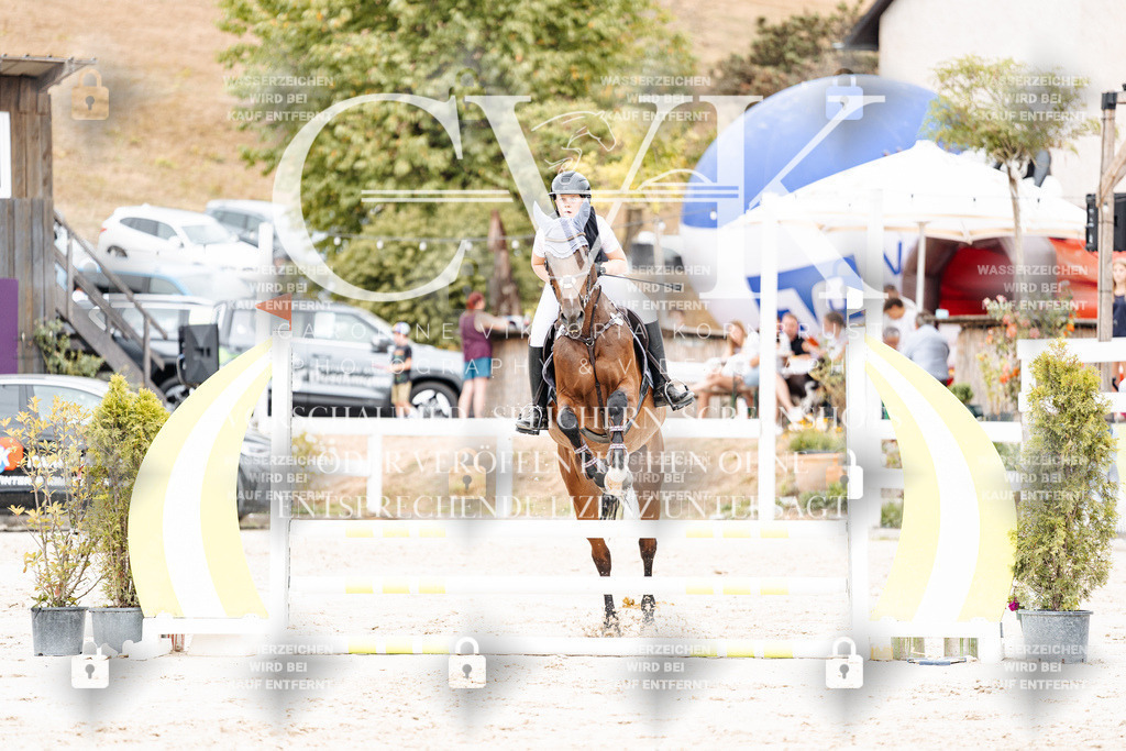 CK908015 | Turnierfotografie Pferdefotografie Trier Rheinland-Pfalz Pferdesport Reitsport Tierfotografie Sportfotografie Pferdevideo Pferdevideografie Equestrianvideography equestrianphotography  - Realisiert mit Pictrs.com