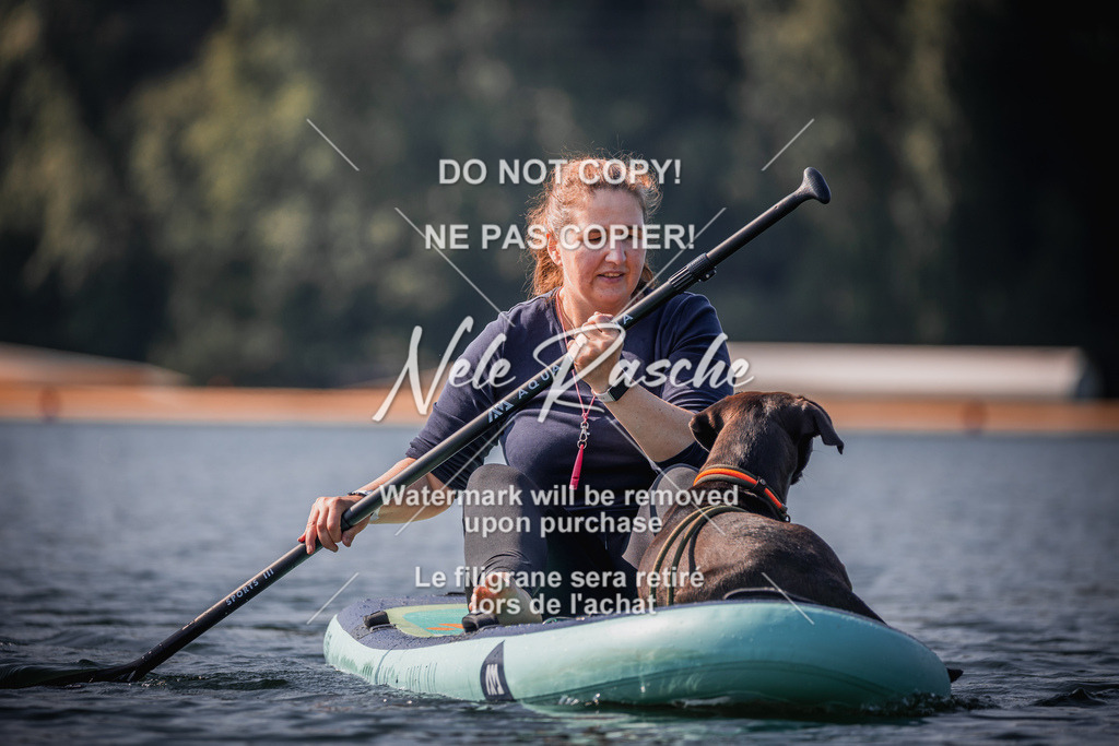 BUHU_SUP_121 | nelerasche