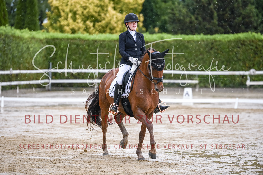 Schugtsche-Aluta25-55.Dressurreiterprf.L1Tr-252 | Schugtsche Fotografie - Realizzato con Pictrs.com