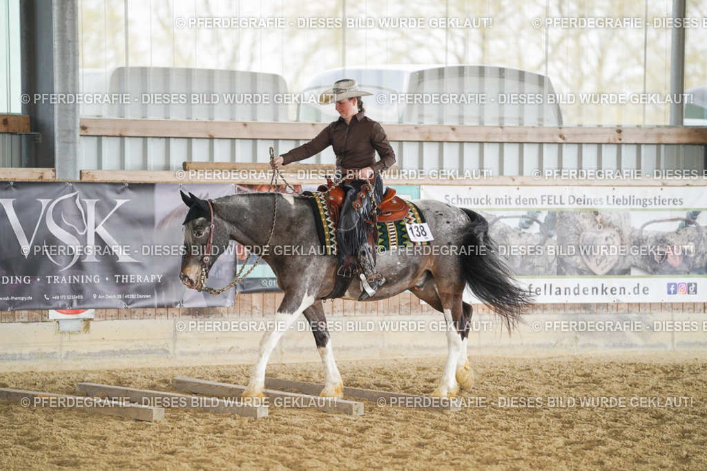 DSC02091 | Pferdegrafie