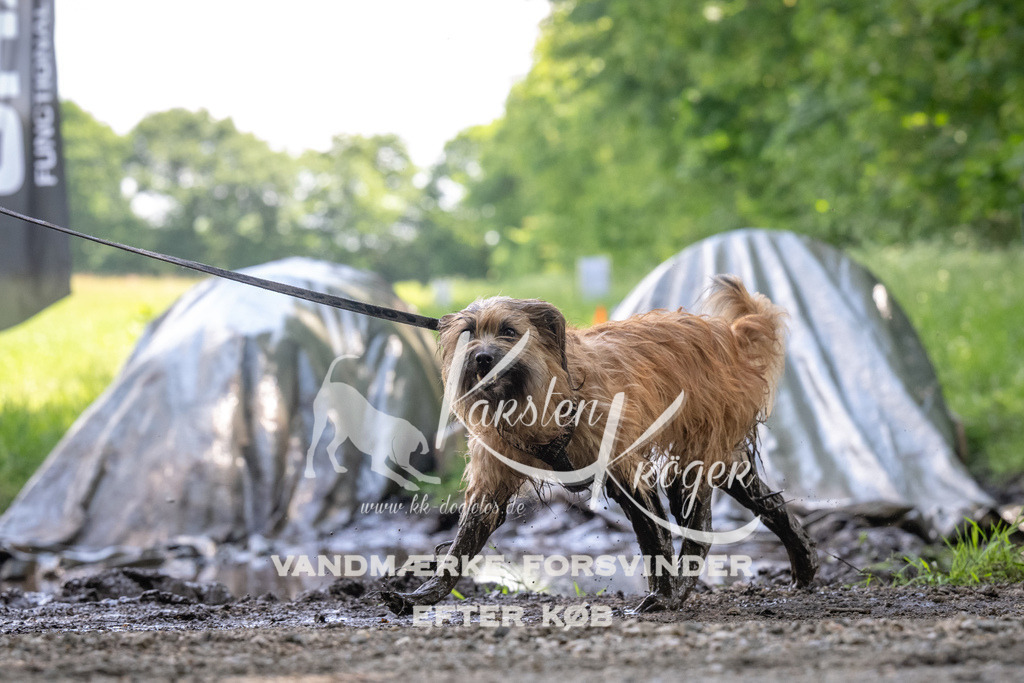 1205_ZZ91300 | kk-dogfotos