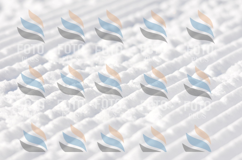 C1992 | holidayphoto