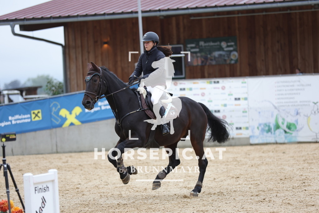 0P6A6202 | Willkommen bei Brunnmayr - Design & Fotografie – Ihrem Spezialisten für Reitturniere und Pferdeveranstaltungen in Oberösterreich, Salzburg und Bayern! Seit über 17 Jahren sind wir leidenschaftlich dabei.