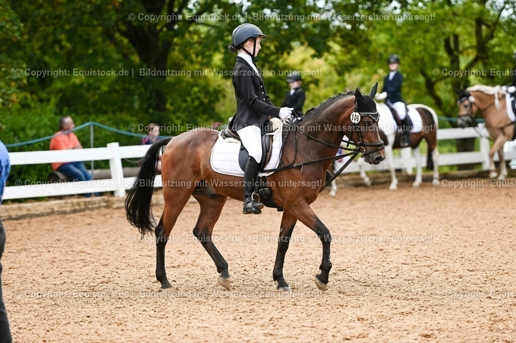 20230716_10-2_Reiter-WB Schritt - Trab - Galopp_0112 | equistock