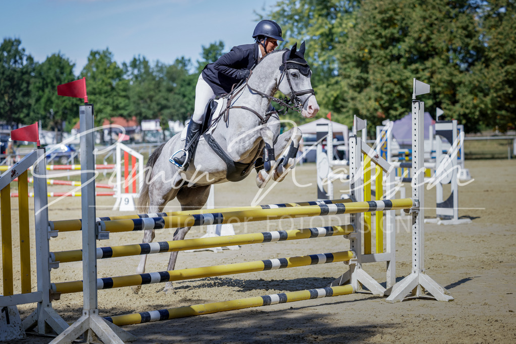 20250906-_3LI4080 | Tierfotografie Pferde, Hunde, Katzen, Haustiere.
Turnierfotografie Reitturniere, Reiten, Springreiten, Dressur in Hanau, dem Main-Kinzig-Kreis und dem Rhein-Main- Gebiet um Frankfurt