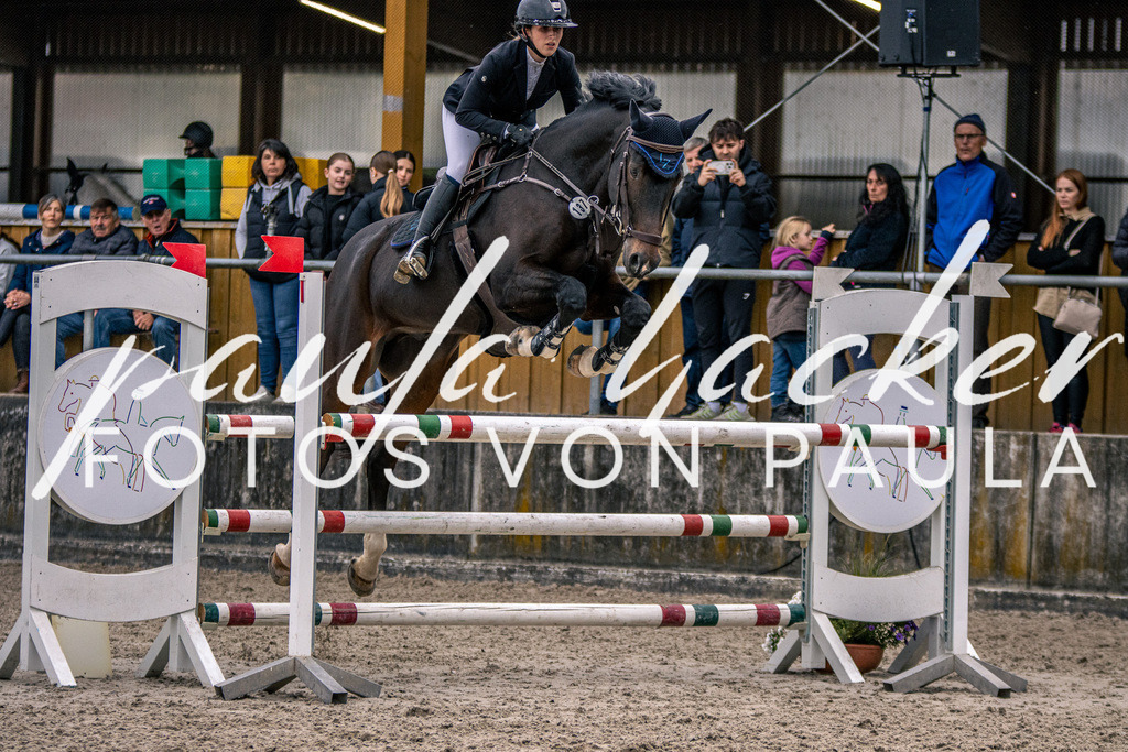 IMG_6066 | Erleben Sie dynamische Sport- und emotionale Tierfotografie in Süddeutschland mit Fotos von Paula. Spezialisiert auf Pferde- und Hundefotografie sowie Sportevents. Kontaktieren Sie mich für einzigartige und ausdrucksstarke Bilder Ihrer besonderen Momente. - Realisiert mit Pictrs.com