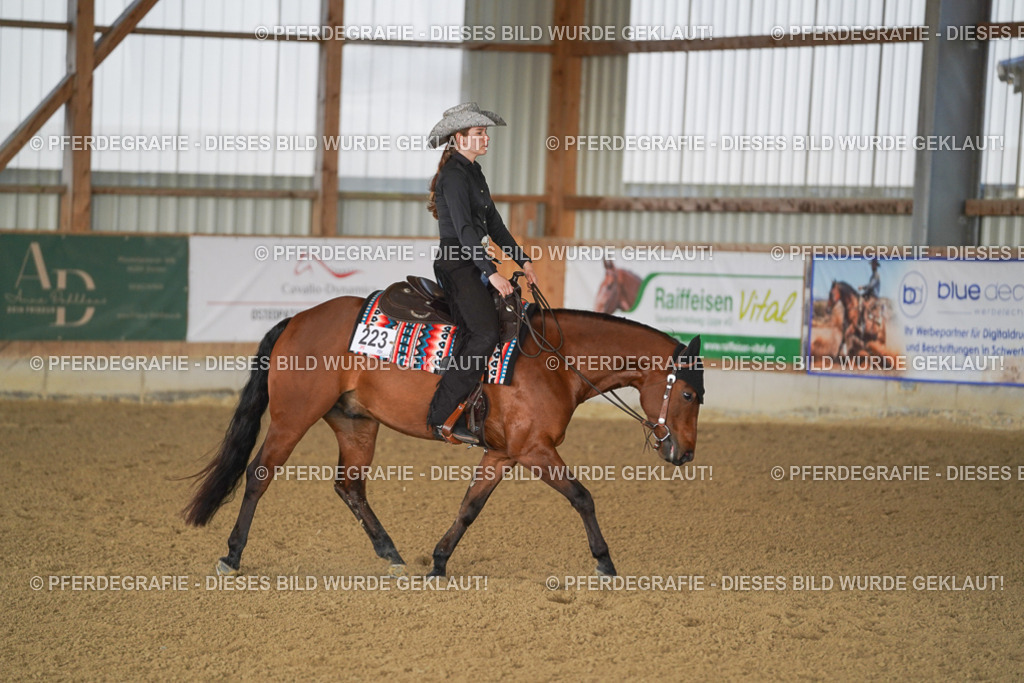 DSC09571 | Pferdegrafie