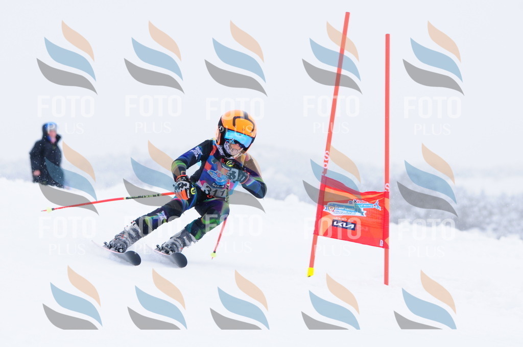 C3298 | holidayphoto