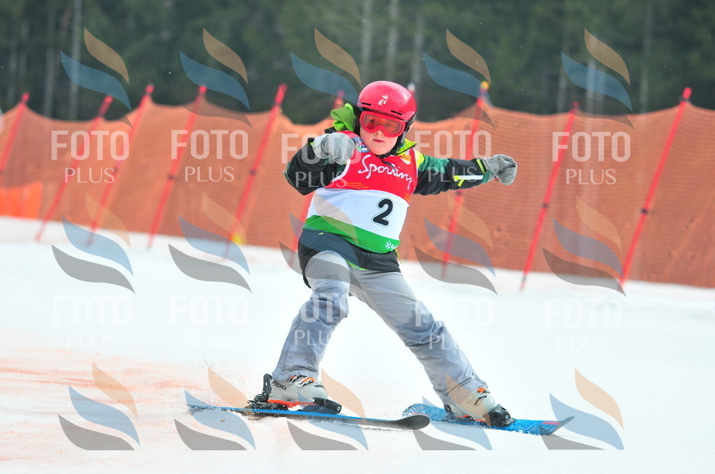 C0595 | holidayphoto