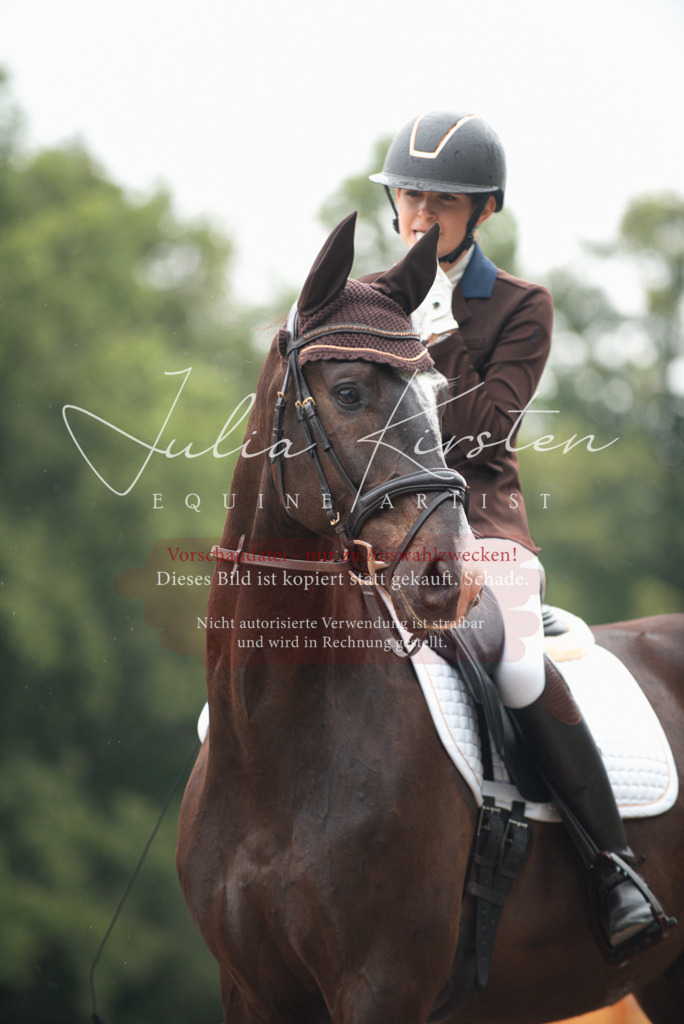 DSC_9771 | Pferde- und Turnierfotografie in Westsachsen. Pferdeportraits, Auftragszeichnungen und intuitive Kunst.