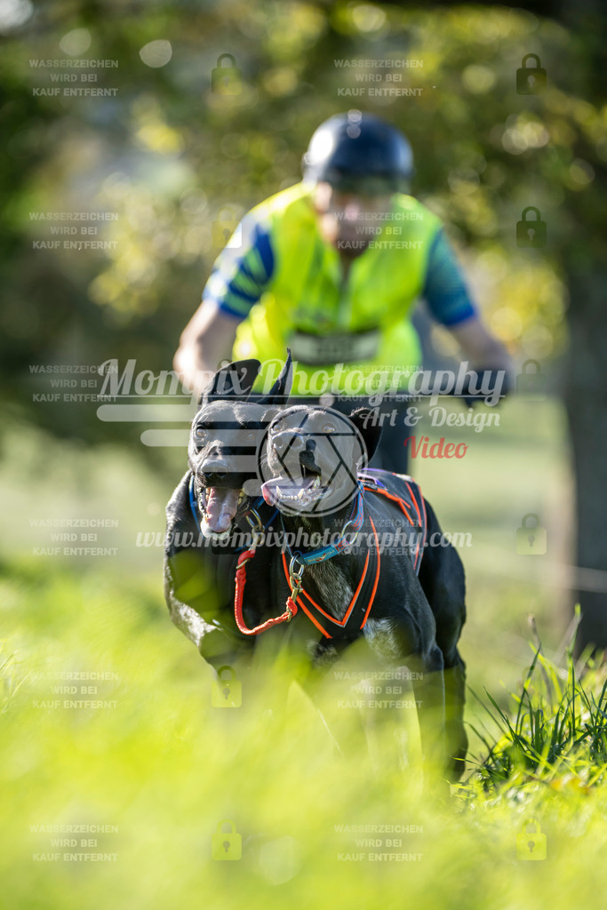 MompixPhotography_20TSB_E3_DS2-12 | PayLife