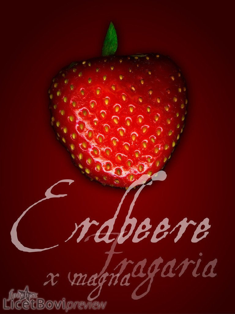 Erdbeere | Hamburg-Bilder, Stadt- und Naturlandschaften, Schafe, Gemüse und Stillleben – dekorative Fotos auf Leinwand, Acryl oder Papier in vielen Formaten oder als Monats-Kalender.
  - Realisiert mit Pictrs.com